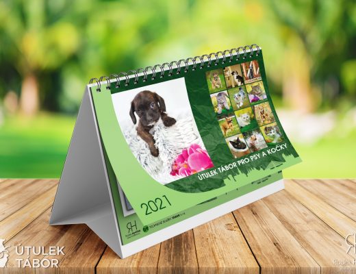 Kalendář psů a koček 2021 - Útulek Tábor